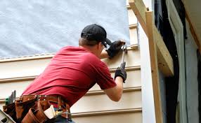 Best Siding Painting and Refinishing  in Chanhassen, MN